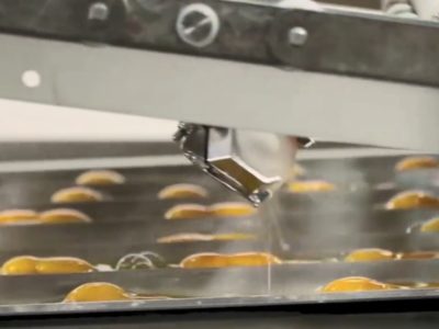 Multiple solutions in egg handling and processing.mp4_snapshot_02.01_[2017.09.11_14.13.31]