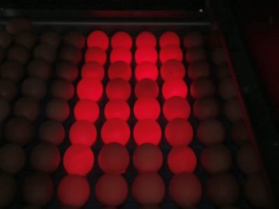 Sanovo07-01.mp4_snapshot_03.05_[2017.09.11_14.48.44]